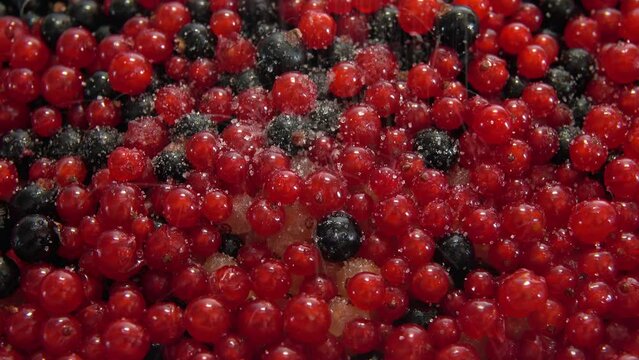 Johinnisbeeren einzuckern