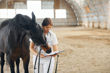 Holding notepad with results of check up. Female doctor in white coat is with horse on a stable