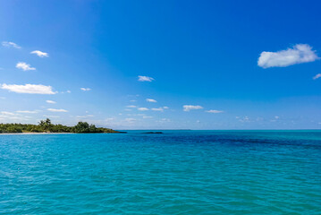 Beautiful tropical natural beach and forest panorama Contoy island Mexico.