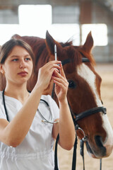 Preparing syringe for a prick. Female doctor in white coat is with horse on a stable