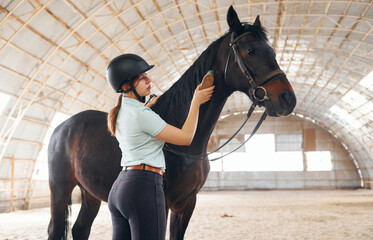 Using brush to comb the hair. A young woman in jockey clothes is preparing for a ride with a horse...