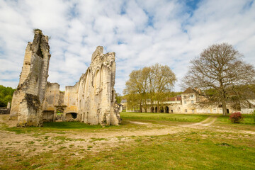 iglesia en ruinas, siglo XII, Cartuja del Liget , municipio de Chemillé-sur-Indrois , Centro del Valle del Loira, France,Western Europe