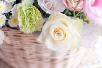 white rose close-up against the background of other flowers