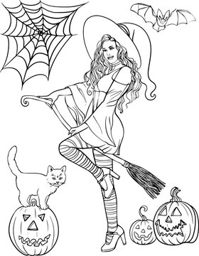 Girl witch on a broom pumpkin cat web halloween vector image drawn by hand.