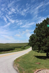 Cornfields and Farming