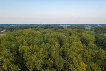 Fototapeta na wymiar Aerial view of a forest in Lebbeke, Belgium