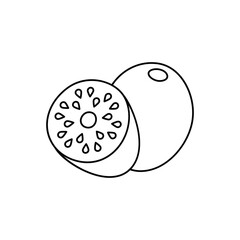 Kiwi fruit icon in line style icon, isolated on white background