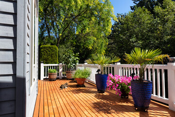 Cat resting on outdoor wooden deck during summer time with blooming garden in pots