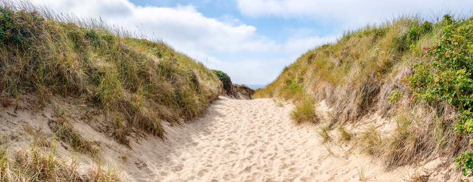 Pathway to the beach through the sand dunes