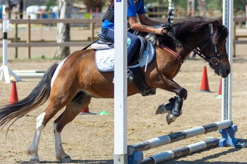 Little Girl that rides a brown Pony and Jumps the obstacle during Pony Game competition at the...