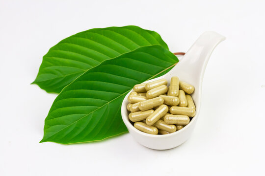 Mitragyna Speciosa Korth or kratom capsules on white bowl with green leaf isolated on white background. 