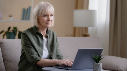 Middle aged shocked amazed exited business woman working distant with laptop feel surprise unbelievable good news. Senior old Caucasians female with computer looking at camera close mouth from amazing