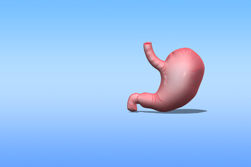 3D rendering stomach organs, minimal stomach, healthcare and medical concept.
