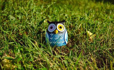 A toy of a surprised blue-colored owl with multi-colored eyes close-up stands in the middle of green grass in the light of the evening sun