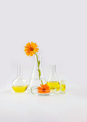 laboratory flasks with reagents, a petri dish and calendula flowers on a gray background - obrazy, fototapety, plakaty