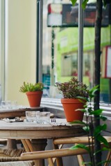 flowers in pots on a street cafe table with reflection of bus in window