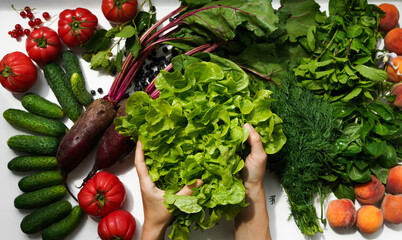 Hands holding fresh green salad next to other vegetables and green herbs