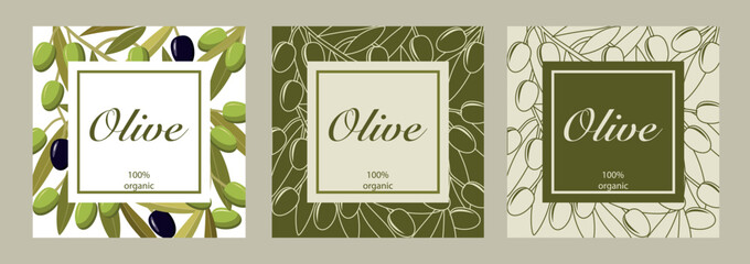 Vector collection of three cards with black and green olives. Design for olive oil, olive packaging, natural cosmetics, healthcare products