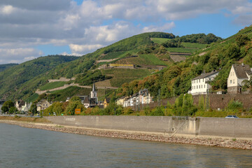 Scenes from the Rhine River, Germany