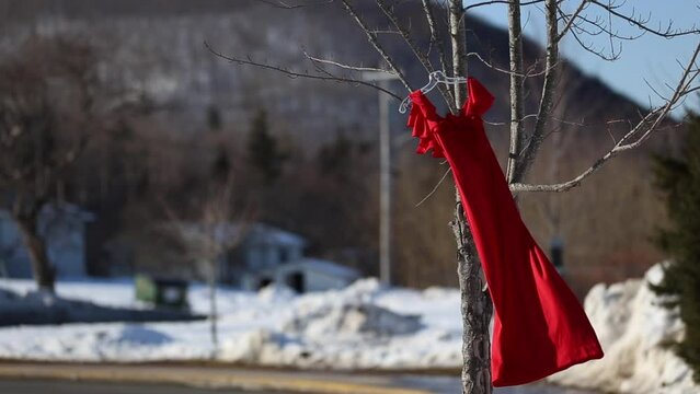 Red dress hanging on a tree branch during winter as a symbol for missing and murdered women