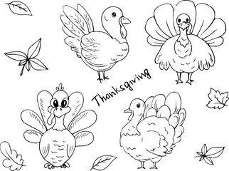 Hand drawn turkeys. Birds set. Thanksgiving Day. Autumn holiday. Drawn turkey in vector on a white background. Traditions. Family holiday. Happy Thanksgiving. Elements for postcards.