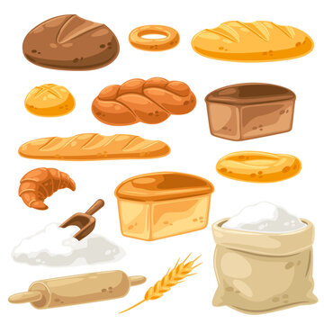 Set of various bread all for baking. Image for bakeries and groceries. Healthy food.