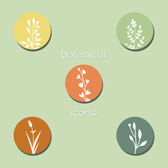 Set of botanical floral icons for social media product packaging design. Environment wellness bio organic food cosmetics concept