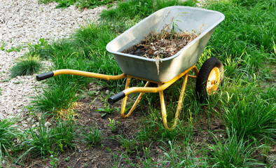 Yellow garden cart with grass, green grass and white stones.