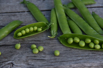 Pods of fresh green peas on a gray background