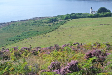 Fototapeta na wymiar Isle of Arran, Scotland, United Kingdom
