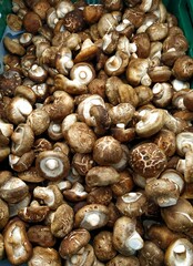 Close up of fresh Shiitake Mushrooms at a Market.