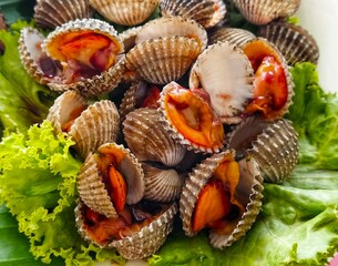 Boiled Scallop sea food