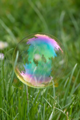 Soap bubbles in the grass