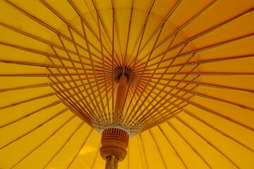 umbrella