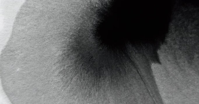 Paint water spill. Opener transition. Presentation overlay. Black ink stain wave spreading on white grain texture abstract empty space background.