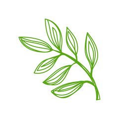 Obraz premium Green leaf sketch. Hand drawn vector illustration. Pen or marker doodle plant