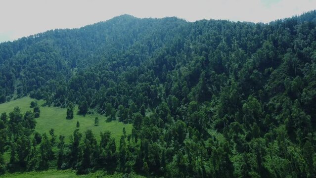 Aerial photography of the mountain green landscape. Altai Republic, Russia. . High quality Full HD footage