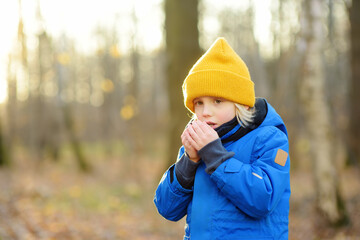 Child warming froze hands during walk in the forest on a cold autumn day. Preschooler boy is having...