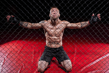 Dramatic image of a mixed martial arts fighter standing in an octagon cage. The concept of sports,...