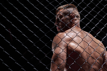 Dramatic image of a mixed martial arts fighter standing in an octagon cage. The concept of sports,...