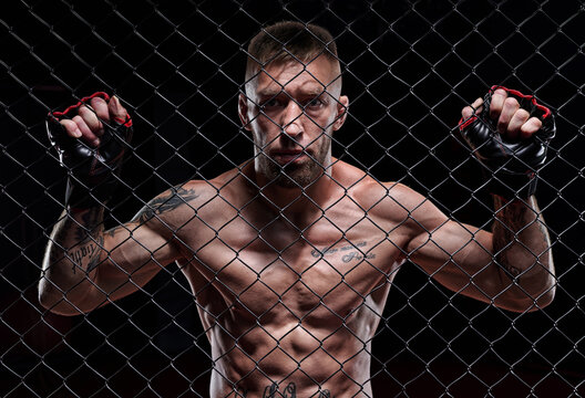 Dramatic image of a mixed martial arts fighter standing in an octagon cage. The concept of sports, boxing, martial arts.