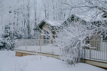 Gorgeous Winter Hoarfrost 06