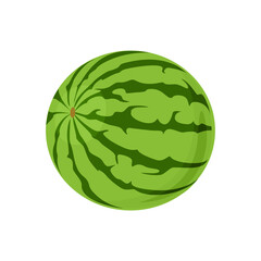 Watermelon vector icon. Cartoon flat illustration of fresh sweet fruit.