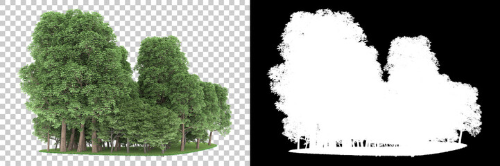 Forest isolated on background with mask. 3d rendering - illustration