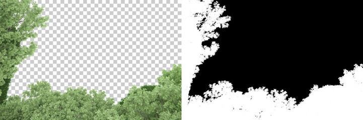 Forest isolated on background with mask. 3d rendering - illustration