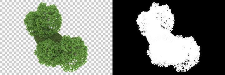 Forest isolated on background with mask. 3d rendering - illustration