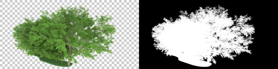 Forest isolated on background with mask. 3d rendering - illustration © Elscar Studios