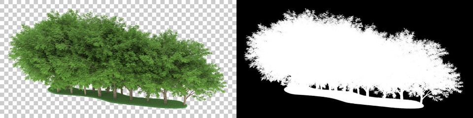 Forest isolated on background with mask. 3d rendering - illustration