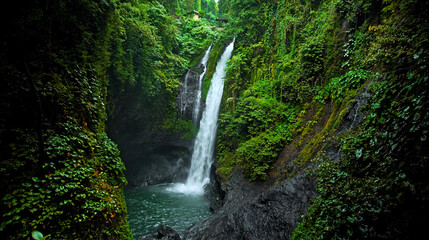 Fototapeta na wymiar waterfall with rocks among tropical jungle with green plants and trees and water falling down