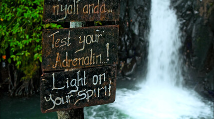 jungle with green plants and trees with the text on the billboard "Test your adrenalin!"